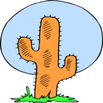 Cactus 68