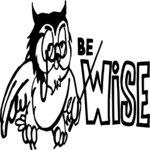 Be Wise