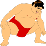 Wrestling - Sumo 5