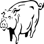 Pig 13 Clip Art