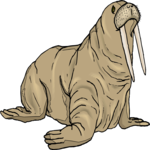 Walrus 06 Clip Art