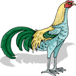 Chicken 18 Clip Art