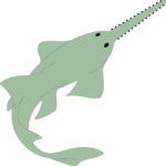 Sawfish 2 Clip Art