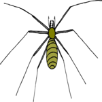 Spider 15 Clip Art