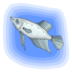 Fish 149 Clip Art