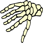 Hand 8