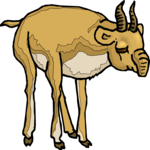 Antelope 24 Clip Art