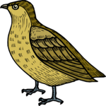 Bird 082 Clip Art