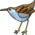 Bird 104 Clip Art