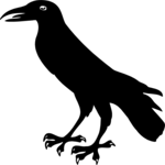 Raven Clip Art