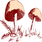 Mushrooms 19