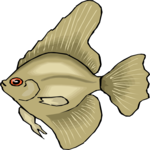 Angel Fish 16 Clip Art