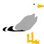 Seagull 01 Clip Art