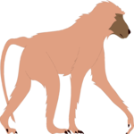 Baboon 1 Clip Art