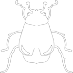 Beetle 02