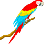 Parrot 08 Clip Art