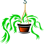 Plant - Hanging 1 Clip Art