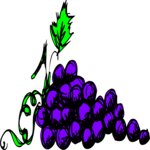 Grapes 58