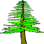 Tree 186 Clip Art