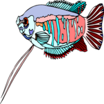 Neon Dwarf Gourami Clip Art