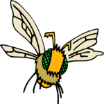 Bee 11