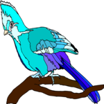 Turaco Clip Art