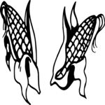 Corn 25