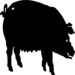 Pig 05 Clip Art