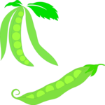 Peas Clip Art