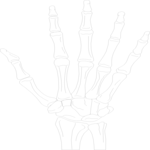 Hand 2