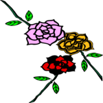 Roses 10