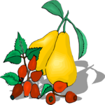 Pears 09