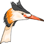 Heron 06 Clip Art