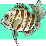 Fish 207 Clip Art