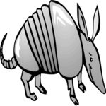 Armadillo 1