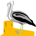 Pelican 01 Clip Art