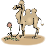 Camel & Flower