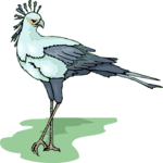 Secretary Bird 2 Clip Art