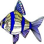 Tiger Barb Clip Art