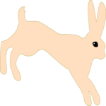 Rabbit 06