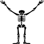 Skeleton Y Clip Art