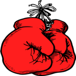 Boxing - Gloves 1