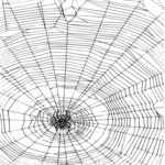 Spider Web 2 Clip Art