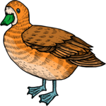 Duck 40 Clip Art