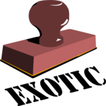 Exotic