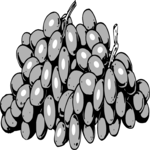 Grapes 10 Clip Art