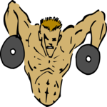 Weight Lifting 31 Clip Art