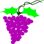 Grapes Clip Art