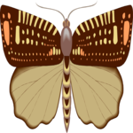 Moth 32 Clip Art