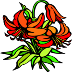 Lily 06 Clip Art